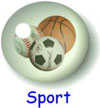 Sports Science for Kids